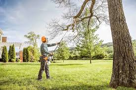 Best Hedge Trimming  in West Sacramento, CA